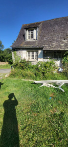 Photo de galerie - Paysagiste - Aménagement du jardin