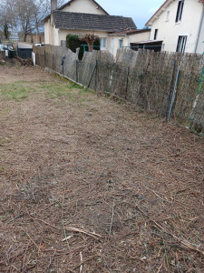 Photo de galerie - Defrichage roncier