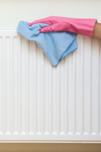 Photo de galerie - Dépoussiérage (Meuble, radiateur, plinthe, etc)