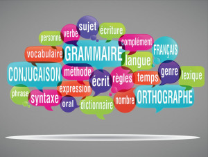 Photo de galerie - Grammaire, conjugaison, vocabulaire... 