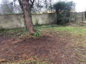 Photo de galerie - Débroussailleuse