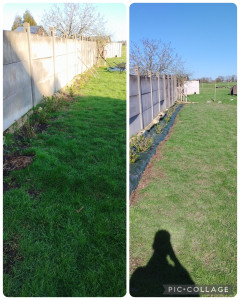 Photo de galerie - Paysagiste - Aménagement du jardin