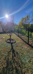 Photo de galerie - Clôture Grillage