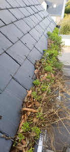 Photo de galerie - Couverture - Toiture