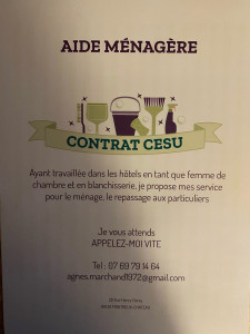 Photo de galerie - Contrat CESU