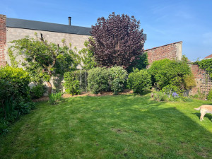 Photo de galerie - Tonte de pelouse - Débroussaillage