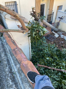 Photo de galerie - En cours coupe d'arbre tombé sur toiture  