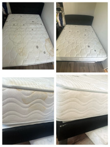 Photo de galerie - Nettoyage textile - Canapés, fauteuils, matelas, chaises, tapis et moquettes.