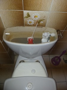 Photo de galerie - Dépannage  remplacement mécanisme  WC plus robinet  flotteur 