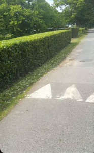 Photo de galerie - Paysagiste - Aménagement du jardin