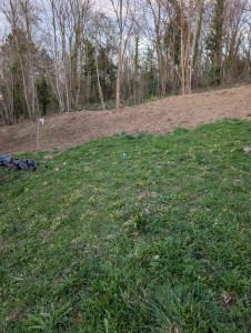 Photo de galerie - Paysagiste - Aménagement du jardin