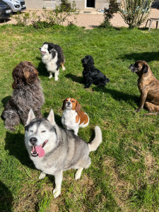 Photo de galerie - Garde