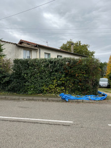 Photo de galerie - Taille de haies