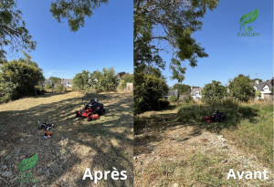 Photo de galerie - Tonte de pelouse - Débroussaillage