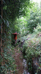 Photo de galerie - Nettoyage du ruisseau
et realisation du passage
la nature avait repris ses droits