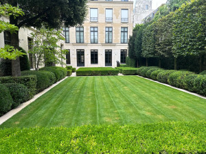 Photo de galerie - Tonte pelouse et taille d’arbuste 