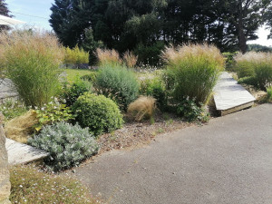 Photo de galerie - Jardinier