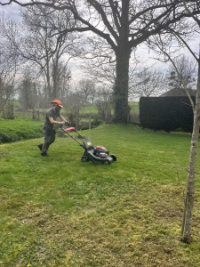 Photo de galerie - Tonte de pelouse 
