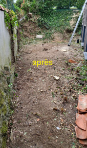 Photo de galerie - Enlèvement végétaux