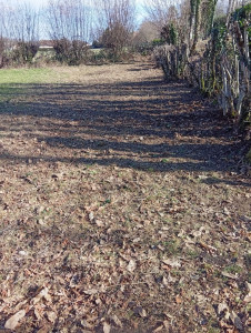 Photo de galerie - Photo après débroussaillage
