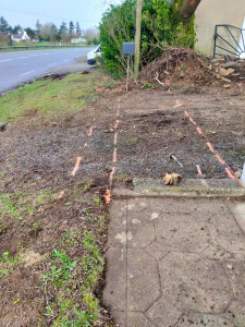 Photo de galerie - Terrassement - Assainissement