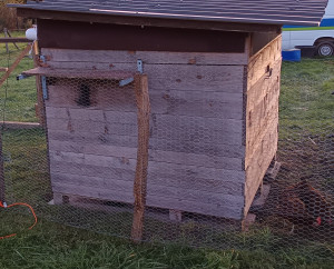 Photo de galerie - Bricolage et multi services