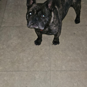 Photo de galerie - Alex papy très gentil 