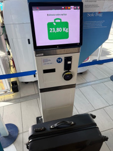 Photo de galerie - De Lille à Paris aide pour le transport des valises 