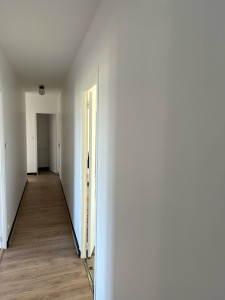 Photo de galerie - Le ratissage et la peinture