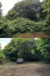 Photo de galerie - Gros débroussaillage en fond de terrain 