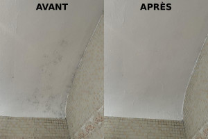 Photo de galerie - J’ai nettoyé et traité un plafond de salle de bain touché par l’humidité et la moisissure (voir photo avant/après).