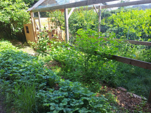 Photo de galerie - Paysagiste - Aménagement du jardin