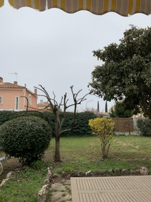 Photo de galerie - Taille des arbres et tonte du jardin