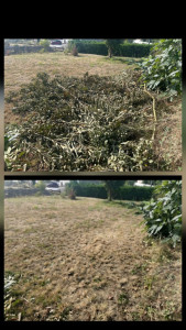 Photo de galerie - Évacuation des déchets verts et nettoyage du terrain.