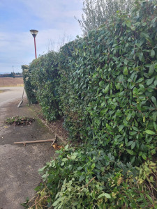 Photo de galerie - Jardinier 