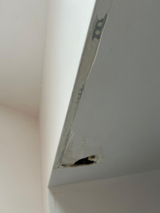 Photo de galerie - Peinture - Tapisserie