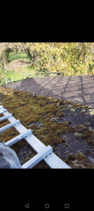 Photo de galerie - Démoussage toiture ardoise 40*40