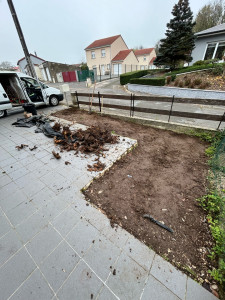 Photo de galerie - Déssouchage de haie 