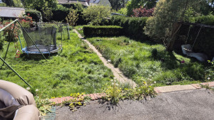 Photo de galerie - Tonte et Débroussaillage Fourmies 