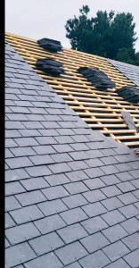 Photo de galerie - Couverture - Toiture