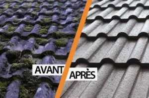 Photo de galerie - Nettoyage traitement toiture façade 