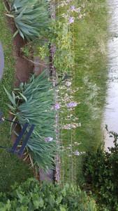 Photo de galerie - .