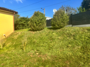 Photo de galerie - Tonte de pelouse - Débroussaillage