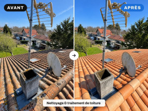 Photo de galerie - Nettoyage & traitement de toiture
