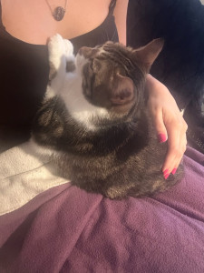 Photo de galerie - Garde animaux 