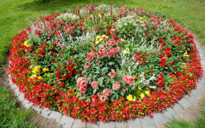 Photo de galerie - Création d'un massif centrale + plantation de plusieurs fleurs