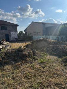 Photo de galerie - Débroussaillage roncier après 