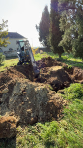 Photo de galerie - Dessouchage 