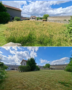 Photo de galerie - Tonte de pelouse - Débroussaillage