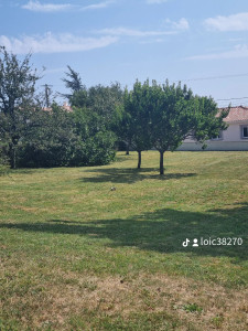 Photo de galerie - Tonte final 